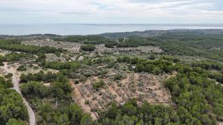 Masia a Perelló (El). Casa rústica en el perelló  un refugio natural con encanto medit