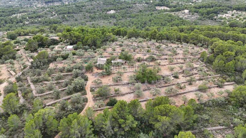 Foto 08ddfaaa-5c30-408b-8c38-5c4d55480028. Masia a Perelló (El)