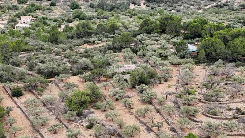 Foto 1e4b8ce5-ba41-4cc4-a569-2ea7a286238d. Masia a Perelló (El)