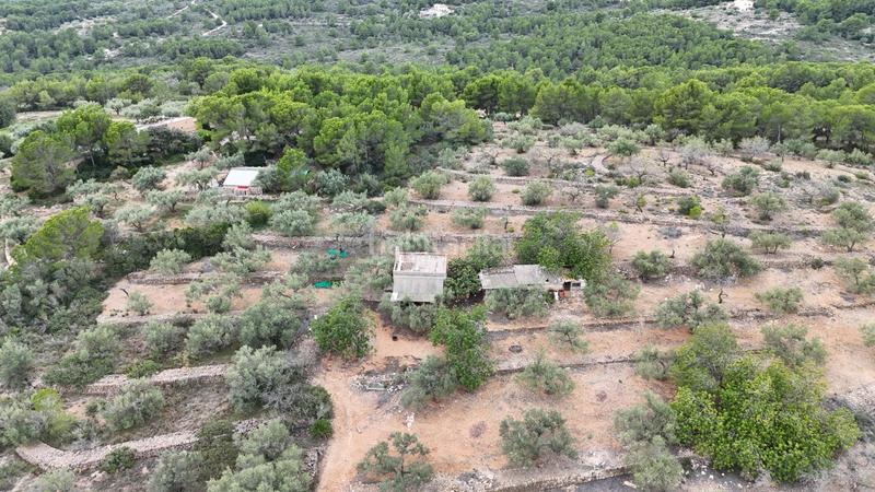 Foto 31a77cf2-705b-4355-8718-1dea7e45ed8a. Masia a Perelló (El)