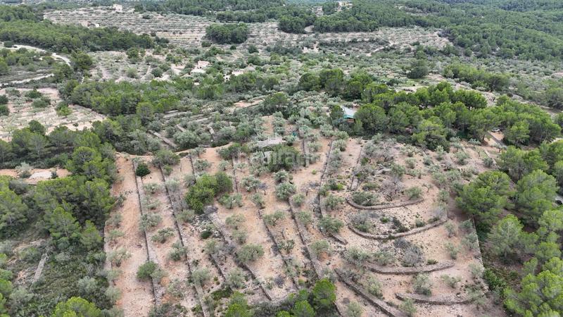Foto 3e5bb4ce-7108-4565-bd7a-e58f2d33697c. Masia a Perelló (El)