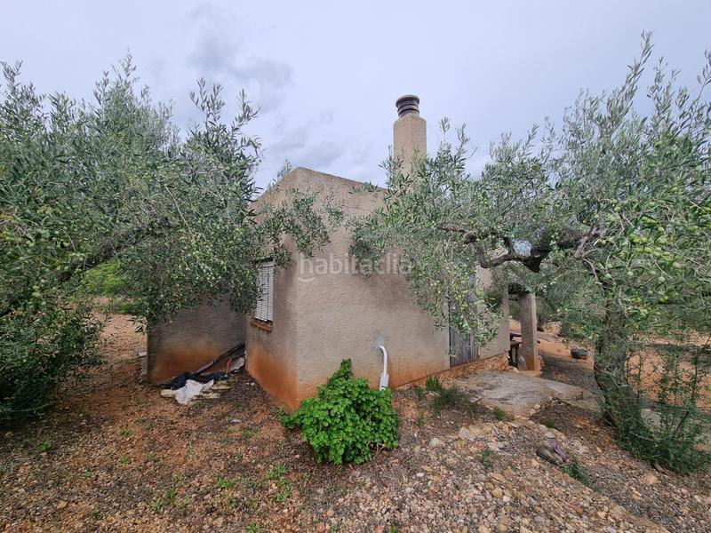 Foto 533f0e56-2b6b-4e1f-8334-a676ecc34bef. Masia a Perelló (El)