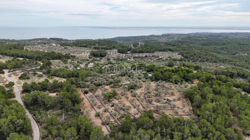 Foto 54d0a9ab-8702-4f17-b12a-768e4f21e1dd. Masia a Perelló (El)