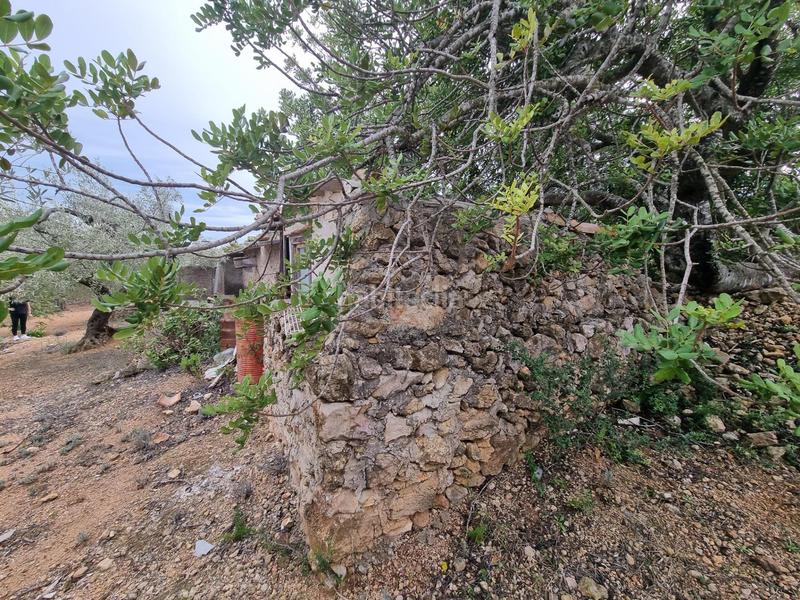 Foto 702f0906-9352-46c0-973a-0a75e05fccb5. Masia a Perelló (El)