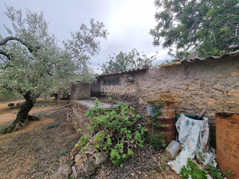 Foto 7b22cf7a-afd8-4019-b7e6-cdeae5683ad2. Masia a Perelló (El)