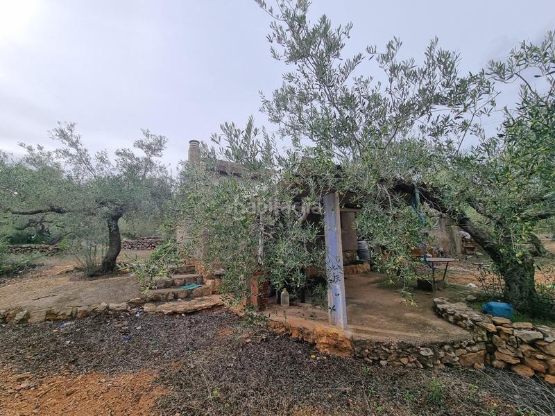 Foto 8aaa917f-22f5-47f5-ab03-d41d7a88dcb4. Masia a Perelló (El)