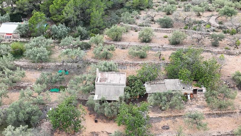 Foto a6209b96-45ff-4ba4-8aa1-b1b4758aac56. Masia a Perelló (El)