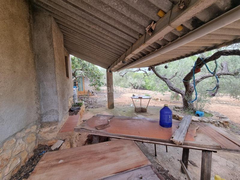 Foto a84a6872-6746-410b-adce-dc97fe13fc00. Masia a Perelló (El)