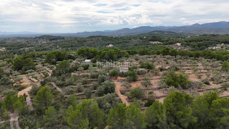 Foto f6739e42-c3cc-47cb-ba12-ff967cdefabb. Masia a Perelló (El)