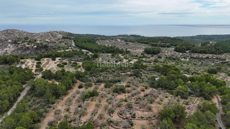 Foto fa2af2ac-6e25-4af0-ab6a-9ca74bd63ee6. Masia a Perelló (El)
