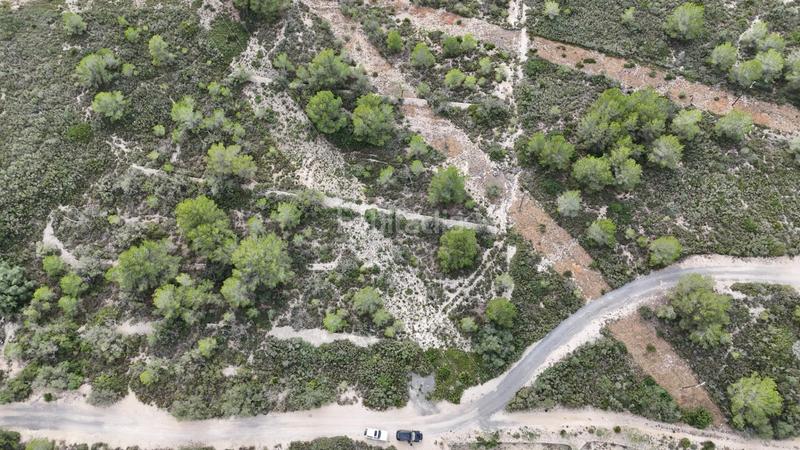 Foto 8298a5f3-194b-4eae-b316-ede269174099. Landgut in Perelló (El)