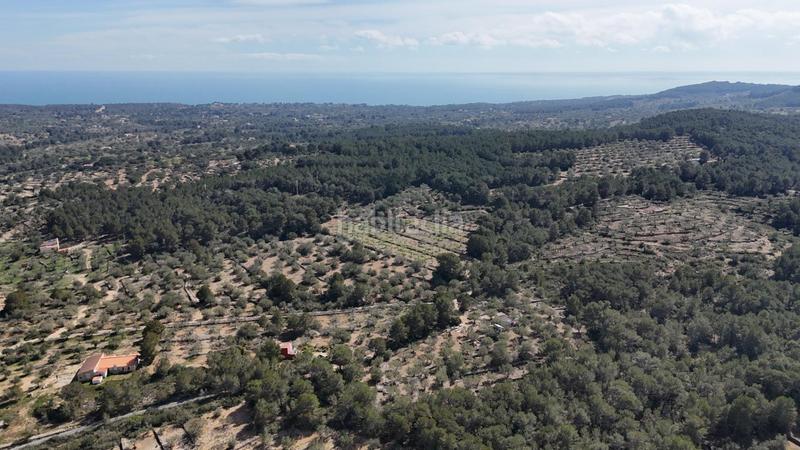 Foto 010da123-09f8-47b8-9e9e-97174f96f4da. Masía finca rústica con masía y vistas al mar en pleno corazón natural de la costa dorada en Ametlla de Mar (L´)