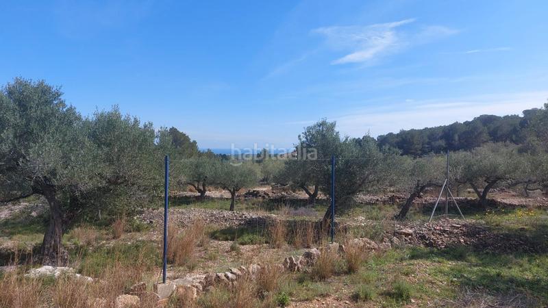 Foto 03f6c3af-c211-460f-b322-e9a753f82f59. Masía finca rústica con masía y vistas al mar en pleno corazón natural de la costa dorada en Ametlla de Mar (L´)