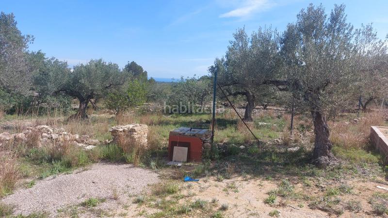 Foto 690d3f8e-406e-4d7c-bfb6-608628e19a62. Masía finca rústica con masía y vistas al mar en pleno corazón natural de la costa dorada en Ametlla de Mar (L´)