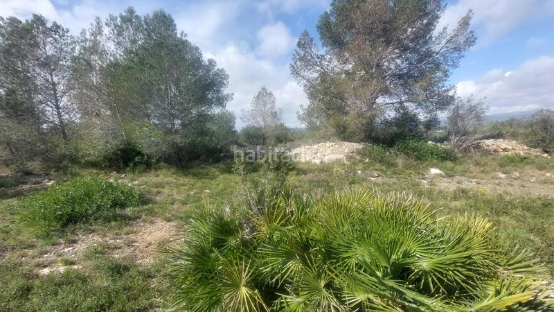 Foto c9a49983-34c6-4559-a007-f7252ee2e4f2. Masía finca rústica con masía y vistas al mar en pleno corazón natural de la costa dorada en Ametlla de Mar (L´)