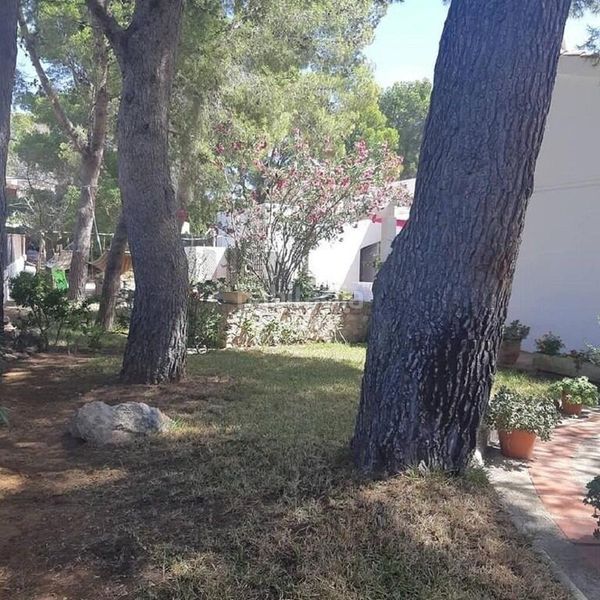 Foto 9f5871d8-e3bc-488d-a6ad-cd85de1c68a0. Xalet amb aparcament a Calafat Ametlla de Mar (L´)