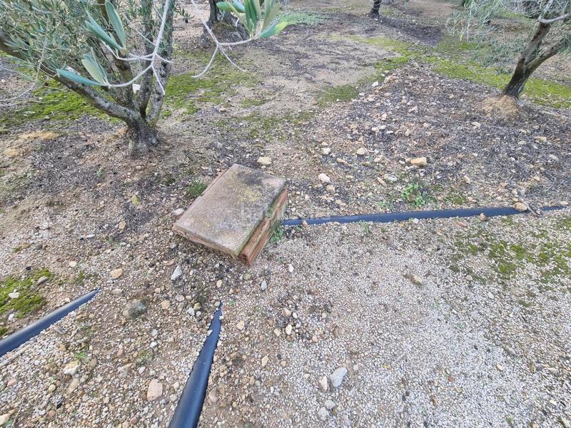 Foto 05ee6c12-302a-4e79-8231-c80bd0677391. Masia amb calefacció a Perelló (El)