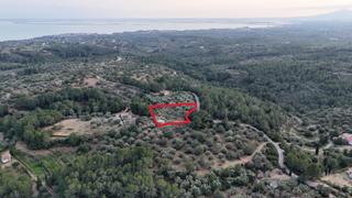 Masia a Perelló (El). Una oportunidad única para los amantes de la naturaleza