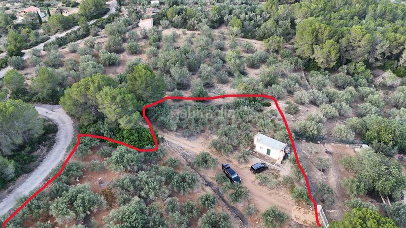 Foto c09f7f47-85b8-4703-be69-33d31512775b. Masia amb calefacció a Perelló (El)