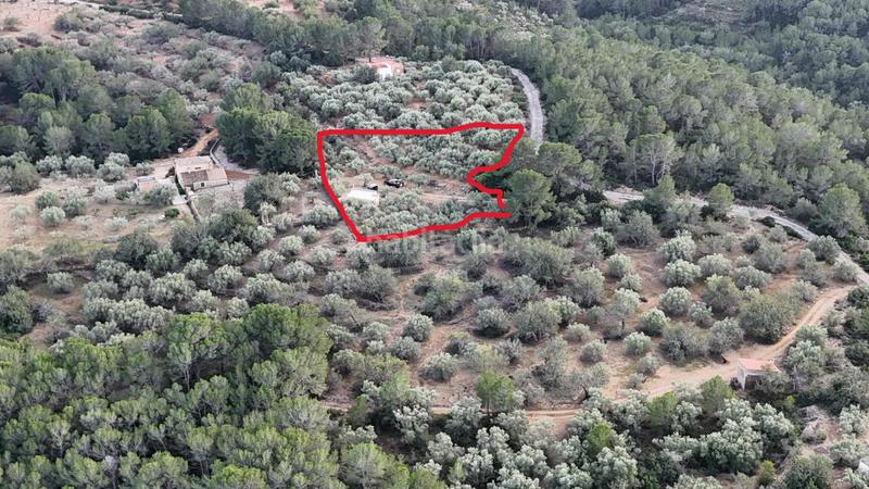 Foto d0525c4d-a028-43ac-8cbd-ea6f2b4799c2. Masia amb calefacció a Perelló (El)