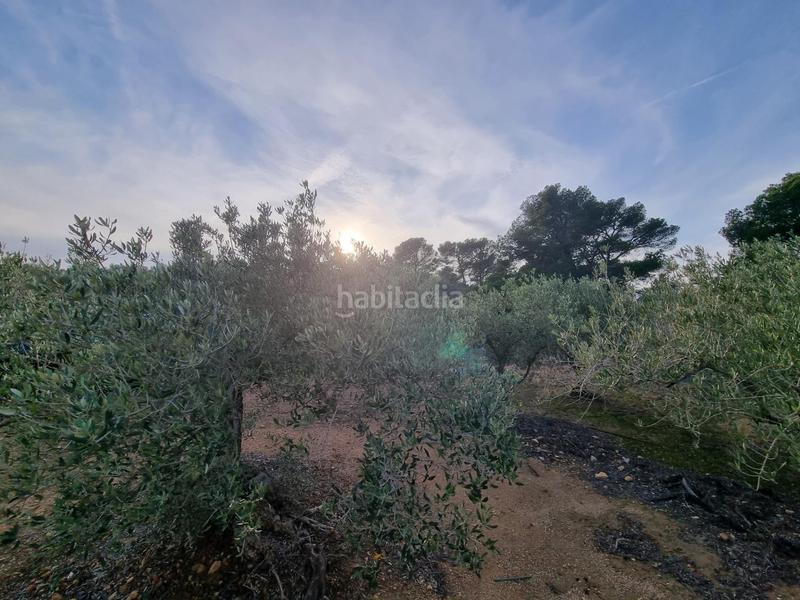 Foto edc16e95-179d-44ac-96ff-16d600713d0b. Masia amb calefacció a Perelló (El)