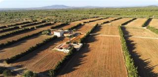 Bauernhof in Camarles. Finca rústica de 24 hectáreas con 3 viviendas independientes, po
