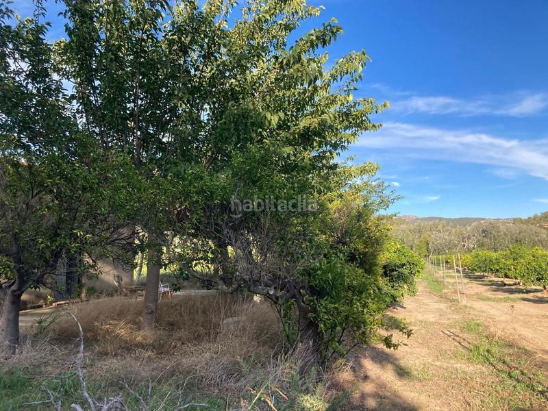 Foto 9d697f05-cf12-4e31-aadb-e264d26139ff. Masia amb calefacció a Xerta