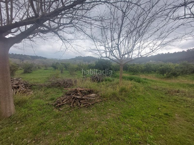 Foto aa78c235-6775-450d-a758-e53acbbfcccc. Masia amb calefacció a Xerta