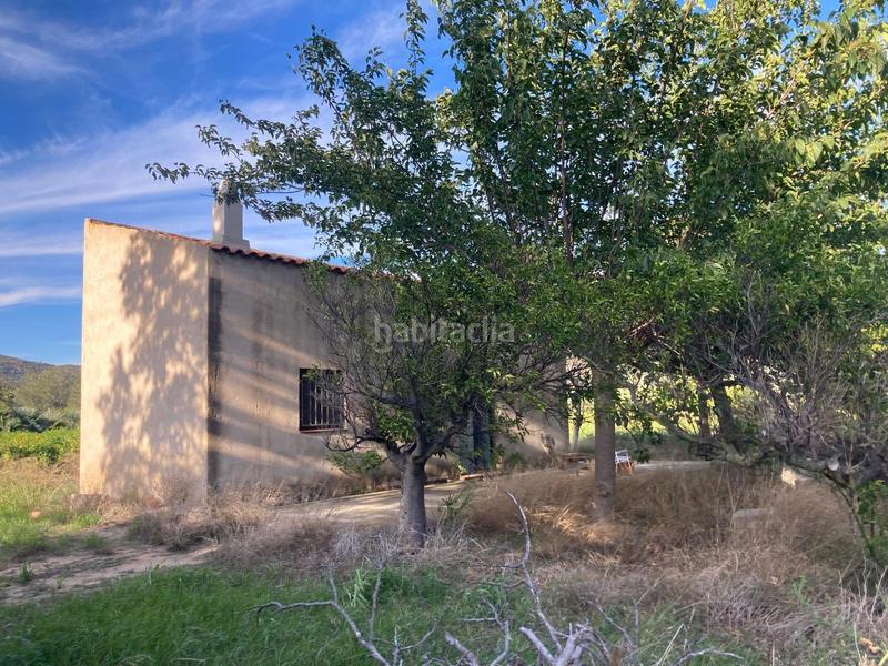 Foto bede7515-9ecb-4fe2-aaba-8d483107af93. Masia amb calefacció a Xerta