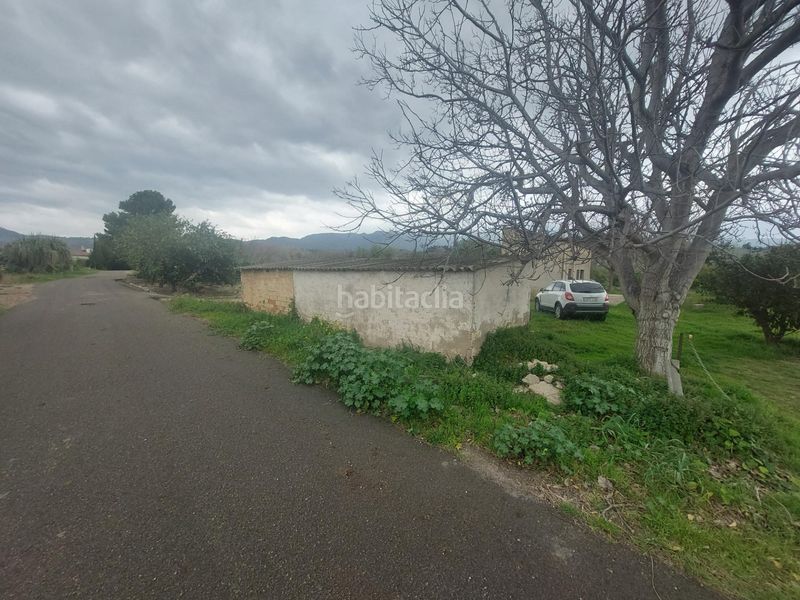 Foto cc182827-bab1-4487-8bbd-f556c9da1152. Masia amb calefacció a Xerta