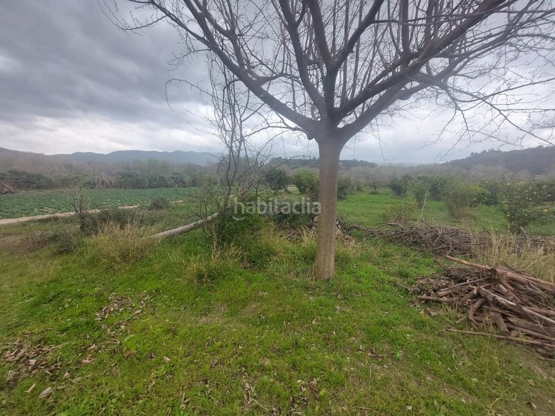 Foto e9657b79-ec7e-4674-83c6-25df236daa41. Masia amb calefacció a Xerta
