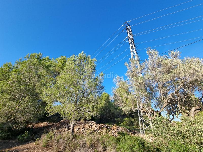 Foto 0253a52f-328c-4bbe-aff1-a1387e25a56b. Finca rústica a Roques Daurades-L´Estany Ametlla de Mar (L´)