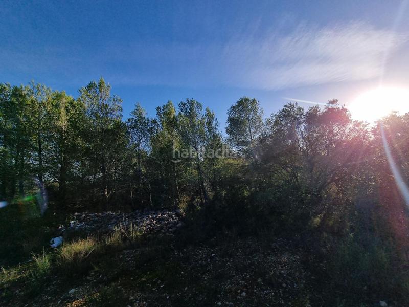 Foto 8859e9ea-5307-449c-b516-3442026ec866. Finca rústica a Roques Daurades-L´Estany Ametlla de Mar (L´)