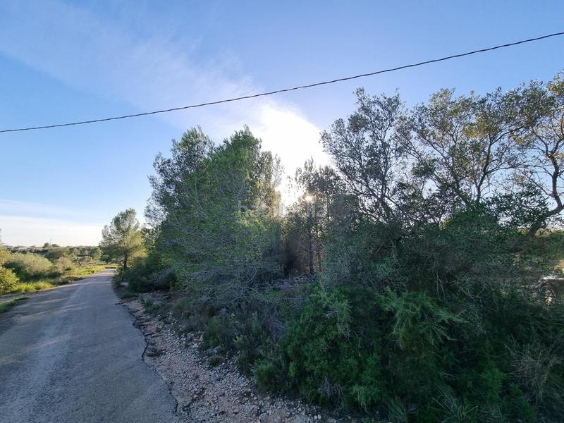 Foto 8ac285e6-a67a-4378-b85b-aab15135c1cb. Finca rústica a Roques Daurades-L´Estany Ametlla de Mar (L´)