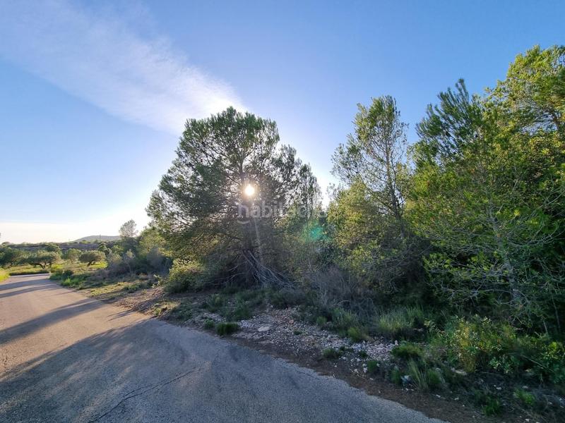 Foto 9a418a4d-8b15-4925-8f5e-e3df5f482729. Finca rústica a Roques Daurades-L´Estany Ametlla de Mar (L´)