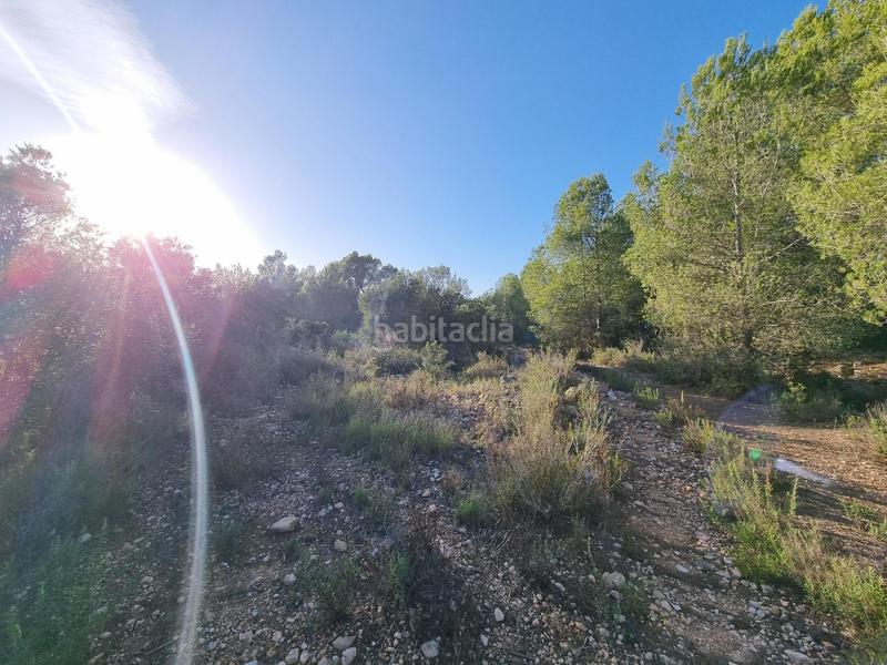 Foto a850454c-60d8-411a-9fbe-af5899083ee2. Finca rústica a Roques Daurades-L´Estany Ametlla de Mar (L´)
