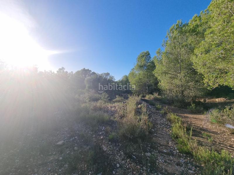 Foto e78f3606-b24d-4831-8773-402637b67b09. Finca rústica a Roques Daurades-L´Estany Ametlla de Mar (L´)