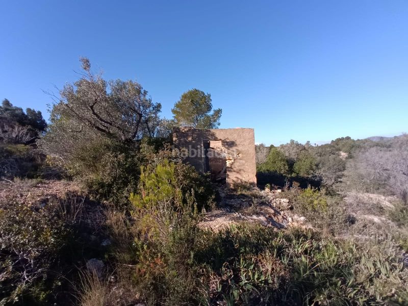 Foto 8a7f0c7b-782c-474f-97a2-2267cdd490da. Masia a L´Ametlla de Mar Ametlla de Mar (L´)