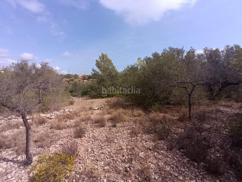 Foto 1b676529-45f5-4965-ac48-2590694cf3dd. Masia a Roques Daurades-L´Estany Ametlla de Mar (L´)