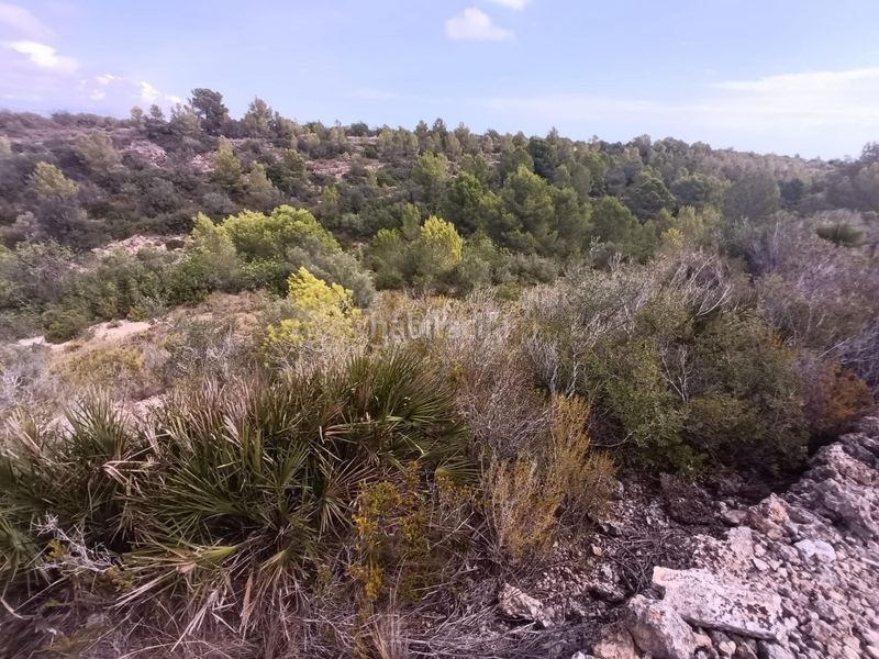 Foto 1ddcd77a-9185-4830-8c6f-5caab61ead47. Masia a Roques Daurades-L´Estany Ametlla de Mar (L´)