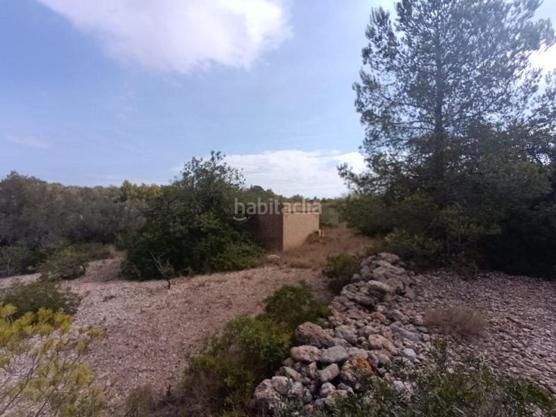 Foto 34850bd6-2c14-4001-8ebc-2c65c26b8918. Masia a Roques Daurades-L´Estany Ametlla de Mar (L´)
