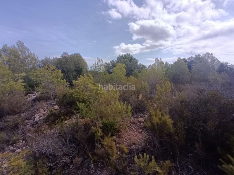 Foto 63bc94d7-ca9a-4b06-8a34-f9fafb8f47a5. Masia a Roques Daurades-L´Estany Ametlla de Mar (L´)
