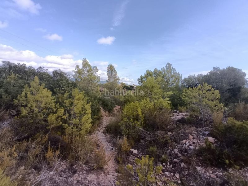 Foto d4c0b388-0c8c-4615-b472-6e9f68b9ebf0. Masia a Roques Daurades-L´Estany Ametlla de Mar (L´)