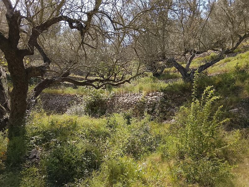 Foto 0e9b3d69-918b-4a61-a689-a8fcbf4ab8ec. Masia a Urbanitzacions Tortosa