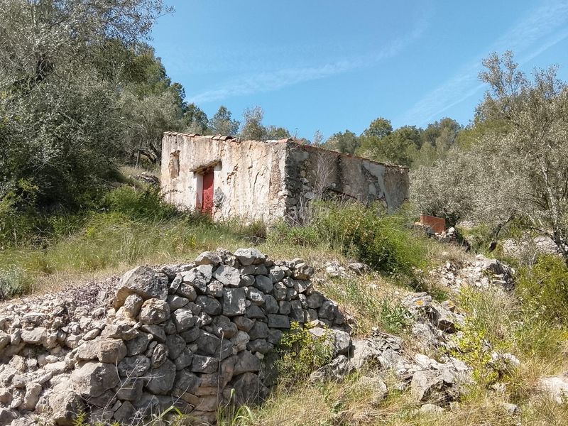 Foto 15218f4c-29ba-4592-b961-e198255dd611. Masia a Urbanitzacions Tortosa