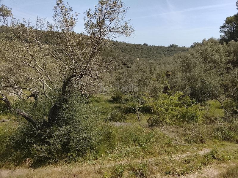 Foto 1c1beaa2-3ab9-4796-81c0-25b54ca8e502. Masia a Urbanitzacions Tortosa