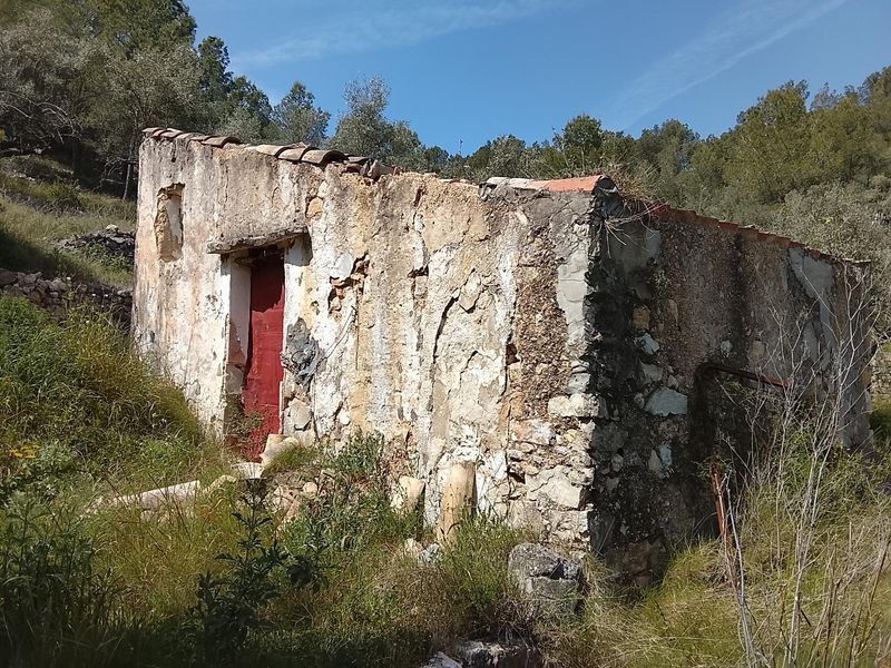 Foto c172c014-0b9d-43c1-bd77-bc3115fd0b88. Masia a Urbanitzacions Tortosa