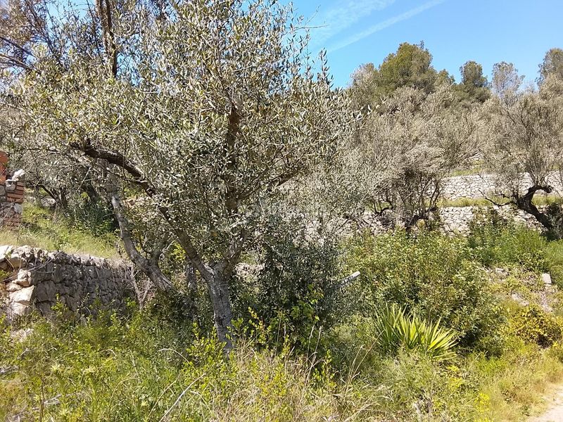 Foto d2dcce5a-c170-4f71-a184-fa6608febca1. Masia a Urbanitzacions Tortosa