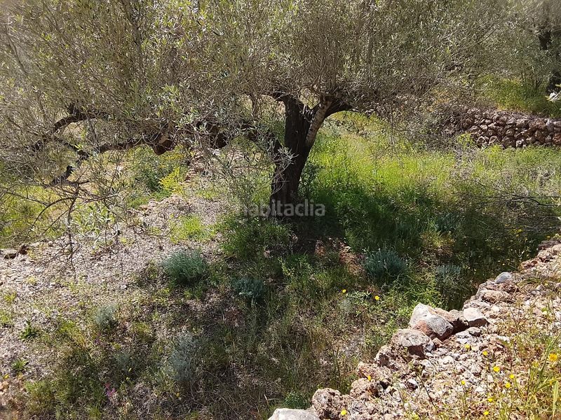 Foto 637372fe-f795-4b7b-be40-cfbeb980c865. Finca rústica a Aldea (L´)