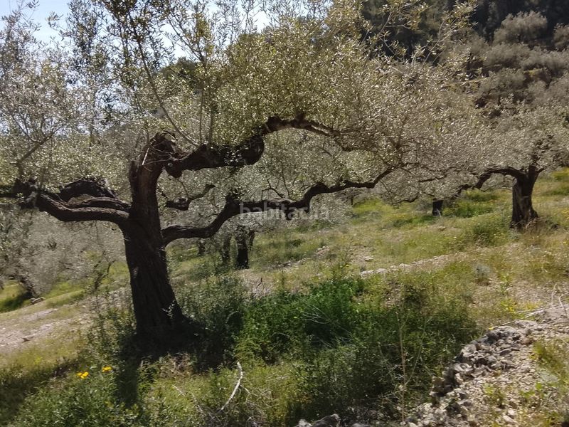 Foto 872b57ef-88de-4b77-8dfa-eb6bbcb3436d. Finca rústica a Aldea (L´)
